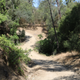 Illustration for article titled Toby Hike Day: Wellbarn Road to San Joaquin River Trail